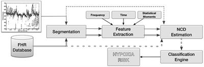 Fetal Heart Rate Analysis for Automatic Detection of Perinatal Hypoxia Using Normalized Compression Distance and Machine Learning